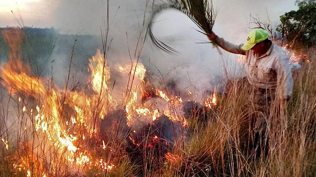 Desesperados esfuerzos por controlar los incendios en Corrientes.