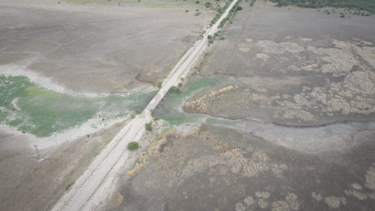 La sequía en Santa Fe ya secó gran parte de los arroyos en el departamento Vera.