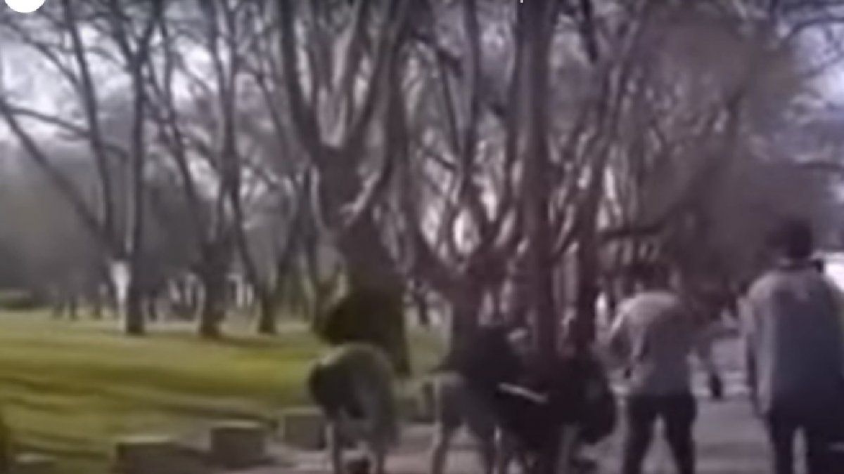 Ultrafanáticos de Aldosivi ataron a un poste a un hincha de Lanús en la previa del partido