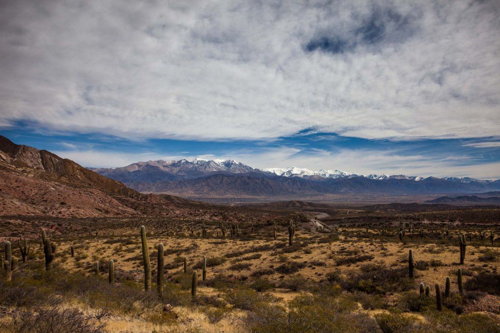 Una ruta imperdible que atraviesa el Parque Nacional los Cardones