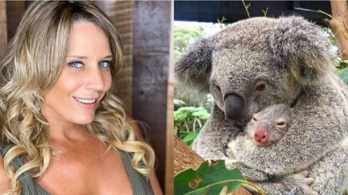 Rocío Marengo comparó su Koala con el atentado a la AMIA