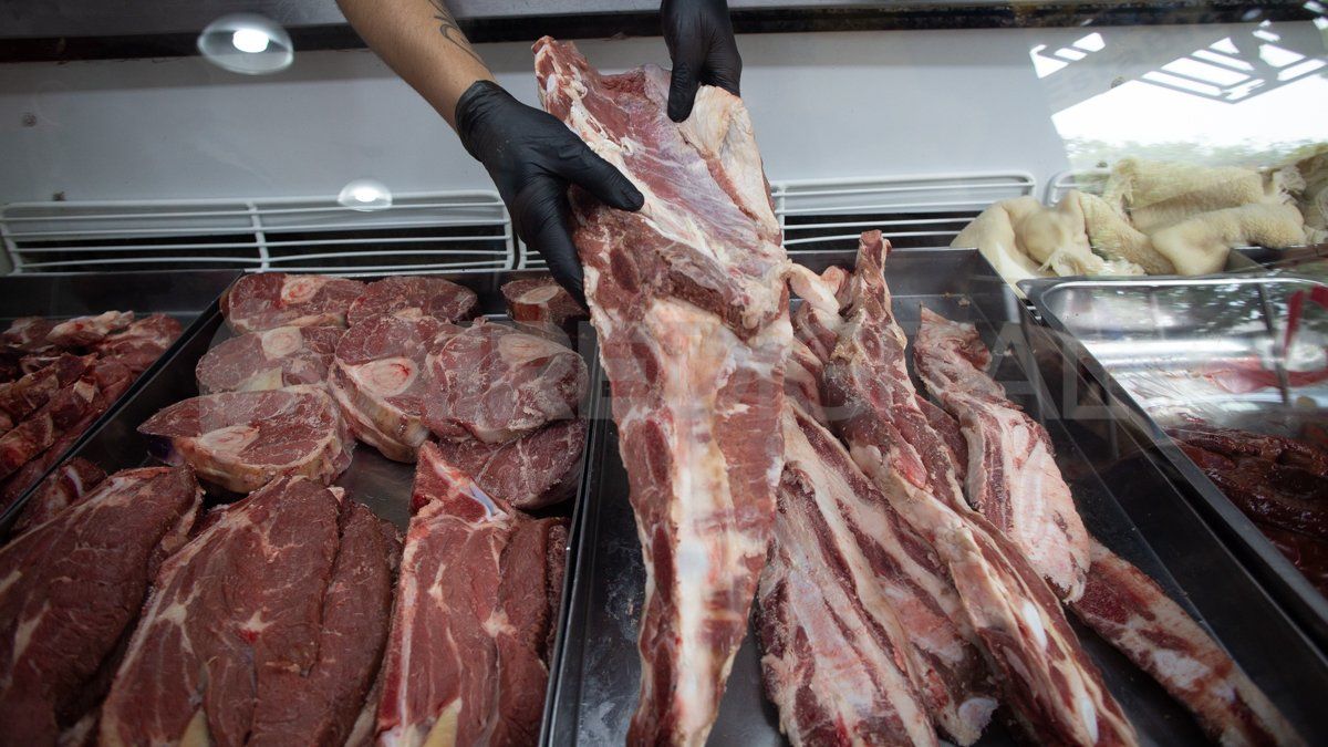 El Gobierno nacional decidió suspender por 30 días las exportaciones de carne vacuna