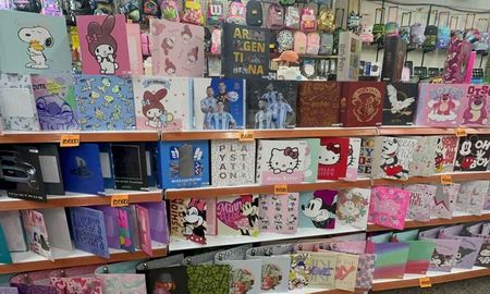Desde carpetas lisas hasta las últimas tendencias: hay alternativas para todos los niveles educativos. Desde carpetas lisas hasta las últimas tendencias: hay alternativas para todos los niveles educativos.