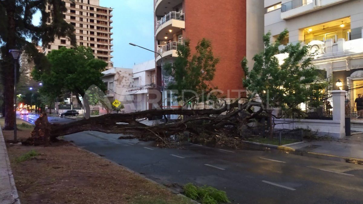 La fuerte tormenta en Santa Fe causó inconvenientes en las líneas de media y baja tensión de la EPE.