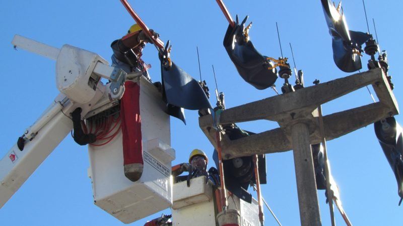 Un fallo en dos distribuidores de la Empresa Provincial de la Energía (EPE) dejó sin suministro eléctrico al centro de Santa Fe. 