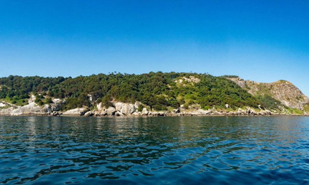 Isla de las Cobras: el lugar más peligroso del mundo y que está prohibido entrar. Isla de las Cobras: el lugar más peligroso del mundo y que está prohibido entrar.