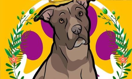 Piden justicia por Luna, una perrita que fue enterrada viva por su dueña Piden justicia por Luna, una perrita que fue enterrada viva por su dueña