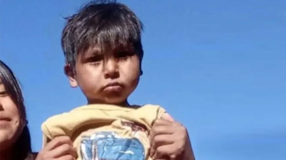 El menor de 3 años desapareció mientras sus padres dormían la siesta. A pesar de los rastrillajes