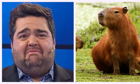 Darío Barassi relató un encuentro místico: Creo que en una vida pasada fui carpincho: peludo, gordito... Darío Barassi relató un encuentro místico: Creo que en una vida pasada fui carpincho: peludo, gordito...