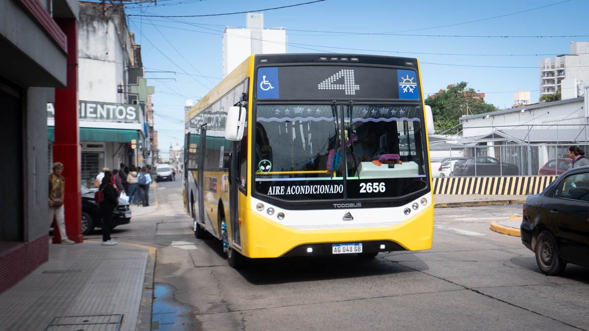 En su análisis, el ministro cuestionó el rol del Gobierno nacional en el esquema actual y planteó que los recortes se realizan trasladando responsabilidades a las provincias y municipios. En su análisis, el ministro cuestionó el rol del Gobierno nacional en el esquema actual y planteó que los recortes se realizan trasladando responsabilidades a las provincias y municipios.