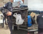 Un operativo policial realizado durante la mañana de este domingo en la localidad de San José del Rincón derivó en la demora de un hombre de 30 años por un presunto caso de maltrato animal. Un operativo policial realizado durante la mañana de este domingo en la localidad de San José del Rincón derivó en la demora de un hombre de 30 años por un presunto caso de maltrato animal.