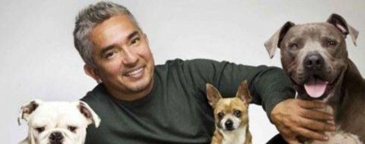 El entrenador de perros más famoso del mundo y una inquietante experiencia con el más allá