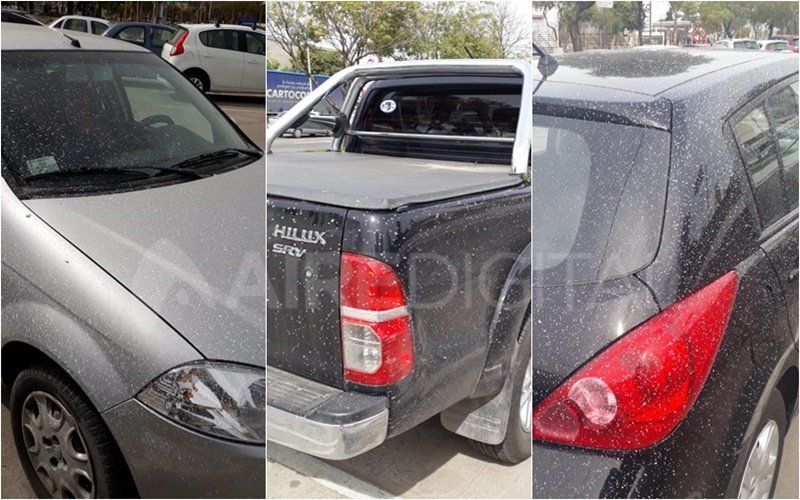 STC 2000: ¿Cuánto sale pintar y pulir tu auto?