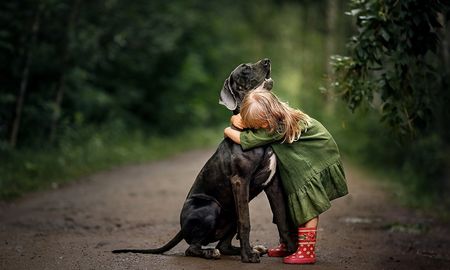 por que se celebra hoy el dia internacional del abrazo por que se celebra hoy el dia internacional del abrazo