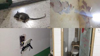 Ratas, roturas y humedad: preocupa la situación edilicia del Comercial Domingo Silva.