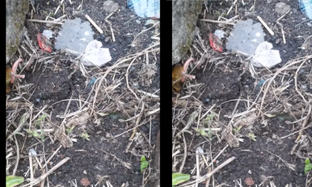 Aterrador: tucumana fue a visitar la tumba de su hermanito y la tierra comenzó a moverse sola Aterrador: tucumana fue a visitar la tumba de su hermanito y la tierra comenzó a moverse sola