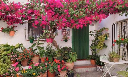 Prepará tu jardín para la primavera. Prepará tu jardín para la primavera.
