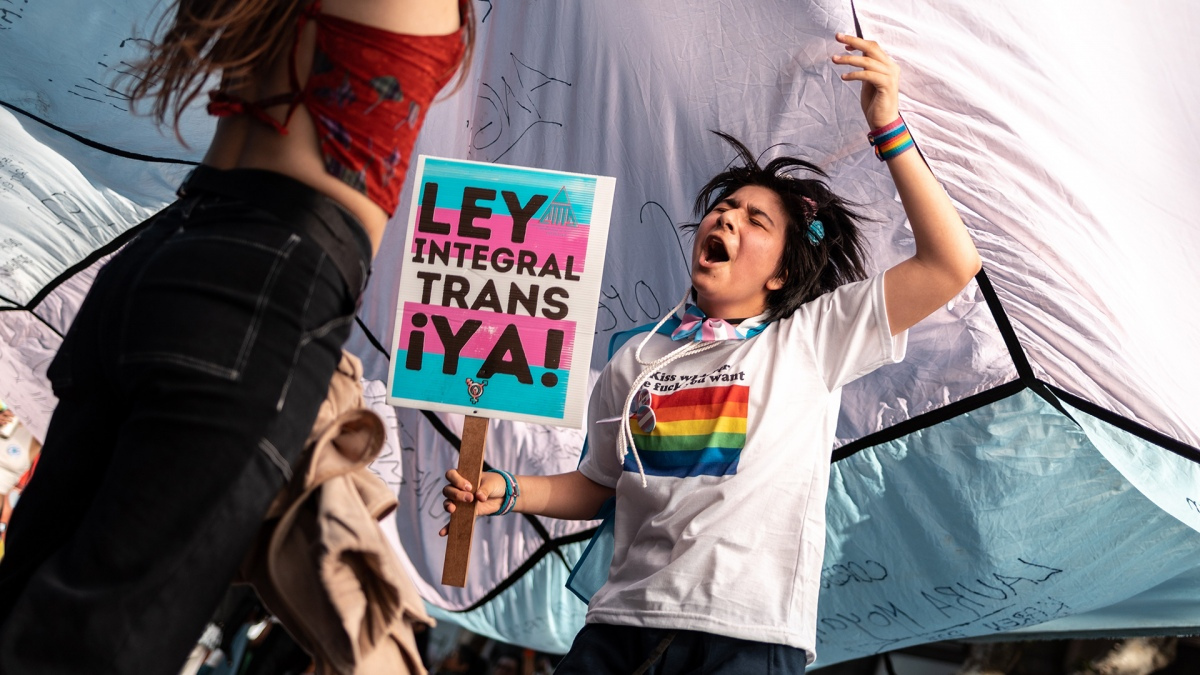 Las organizaciones reclamaron la aprobación de los proyectos de ley de reparación de la violencia institucional por motivos de identidad de género.