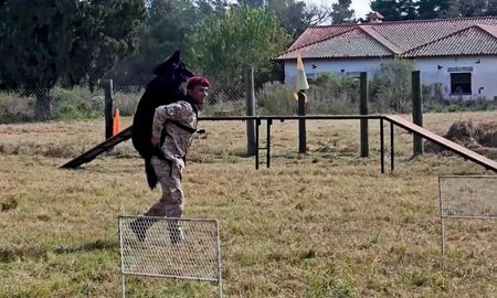 La capacitación se desarrolló en Recreo, en el predio del Instituto de Seguridad Pública donde funciona la Sección Perros de la Policía de Santa Fe. La capacitación se desarrolló en Recreo, en el predio del Instituto de Seguridad Pública donde funciona la Sección Perros de la Policía de Santa Fe.
