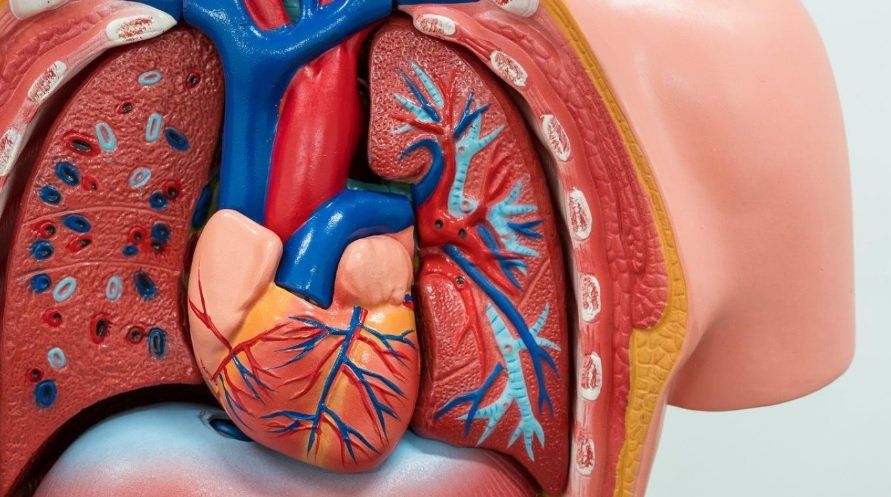 La ANMAT aprobó un nuevo tratamiento para la hipertensión arterial pulmonar, una afección grave y poco conocida