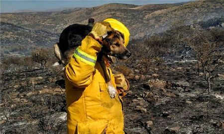 La tarea de los efectivos continúa siendo ardua, a pesar de su denodado esfuerzo. Foto: Facebook (Julian Guzmán). La tarea de los efectivos continúa siendo ardua, a pesar de su denodado esfuerzo. Foto: Facebook (Julian Guzmán).