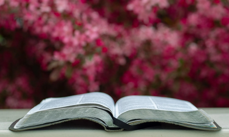 6 libros para celebrar la primavera 6 libros para celebrar la primavera