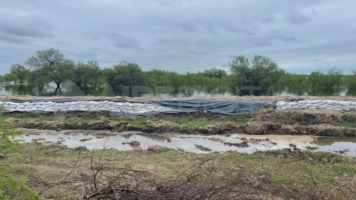 A mediados de noviembre, Felipe Franco, el actual secretario de Desarrollo Urbano y Gestión Hídrica dijo que Santa Fe 