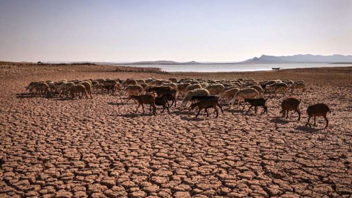 La sequía afecta la agricultura y tensiona incluso al sector turístico, una de sus principales actividades económicas. La sequía afecta la agricultura y tensiona incluso al sector turístico, una de sus principales actividades económicas.