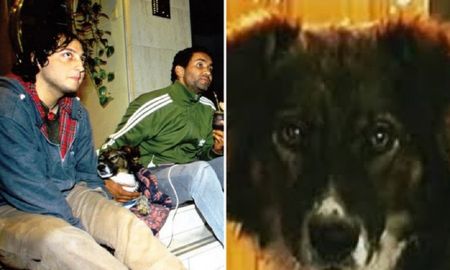 Okupas: quién fue Stompy, el perro que hizo de Severino en la serie. Okupas: quién fue Stompy, el perro que hizo de Severino en la serie.