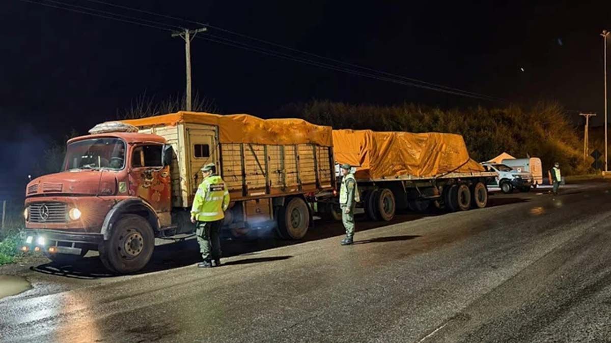 Entre los fármacos hallaron remifentanilo, un opioide 15 más potente que el fentanilo. Entre los fármacos hallaron remifentanilo, un opioide 15 más potente que el fentanilo.