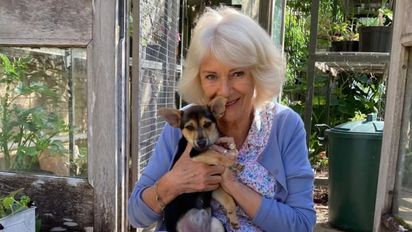 Así es el lujoso refugio de soltera de Camila Parker Bowles: por qué decidió cederlo a sus hijos