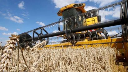 Córdoba exige la eliminación de las retenciones al trigo para asegurar la rentabilidad del sector