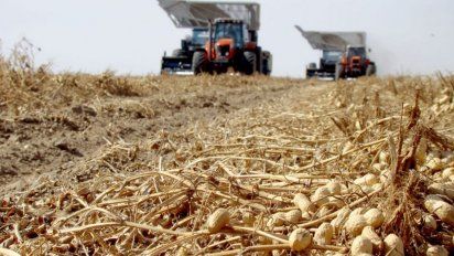 Las exportaciones de la agroindustria crecieron un 7% en el primer bimestre de 2026