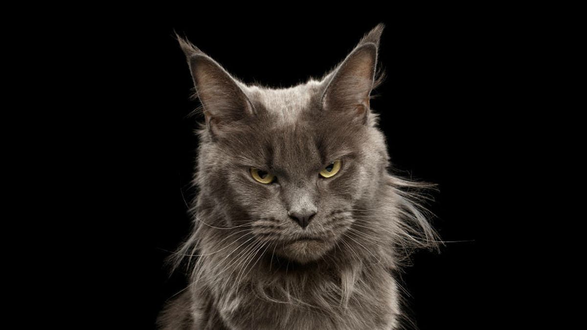 Lo que hace enfurecer a cada persona según su signo del zodiaco