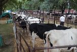 Cooperativas tamberas de Santa Fe se unen para ganar competitividad y pedir infraestructura Cooperativas tamberas de Santa Fe se unen para ganar competitividad y pedir infraestructura