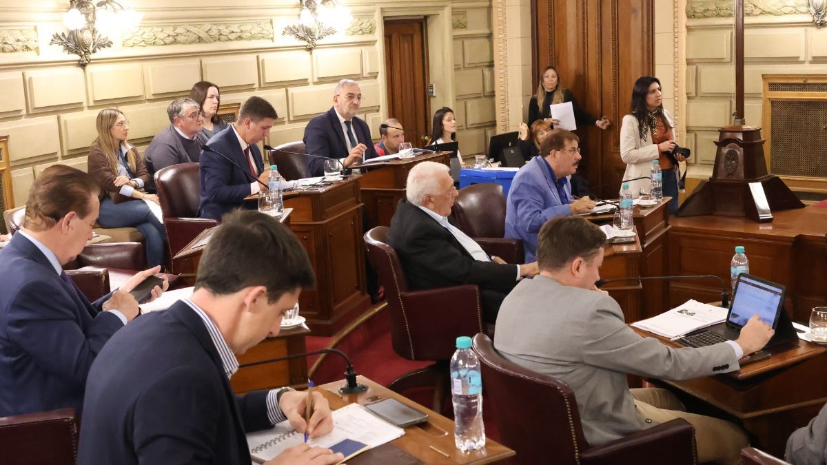 El proyecto del PJ fue firmado por los senadores integrantes del bloque: Rub&eacute;n Pirola (Las Colonias), Alcides Calvo (Castellanos), Osvaldo Sosa (Vera), Armado Traferri (San Lorenzo) y Eduardo Rosconi (Caseros).&nbsp;