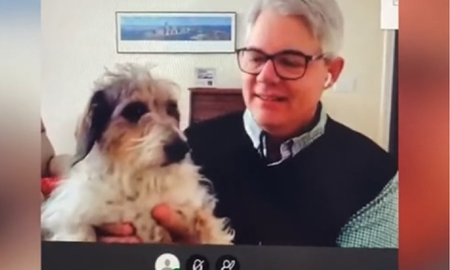 Video viral: profesor mostró a sus perros en medio de una clase por videollamada. Video viral: profesor mostró a sus perros en medio de una clase por videollamada.