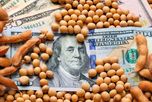 Balance económico de la cosecha récord de soja: mejores márgenes, más exportaciones y cuánto se irá en retenciones Balance económico de la cosecha récord de soja: mejores márgenes, más exportaciones y cuánto se irá en retenciones