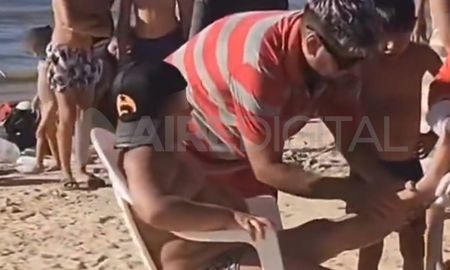 Este domingo, 33 personas fueron atacadas por palometas en las playas de la Costanera Este de Santa Fe. Este domingo, 33 personas fueron atacadas por palometas en las playas de la Costanera Este de Santa Fe.