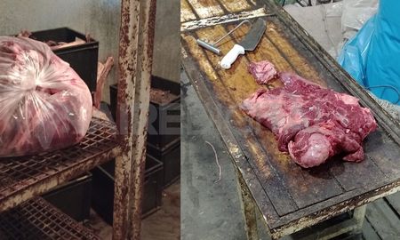 En el lugar había seis freezer llenos de carne. En el lugar había seis freezer llenos de carne.