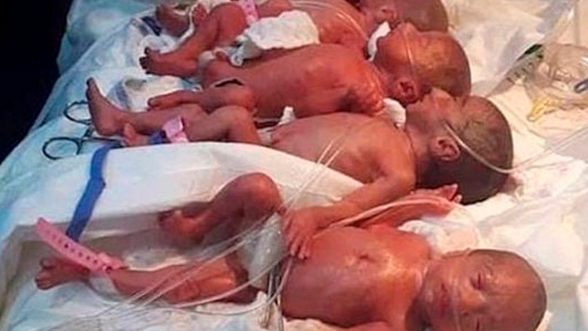 Si bien los pequeños están muy bien de salud