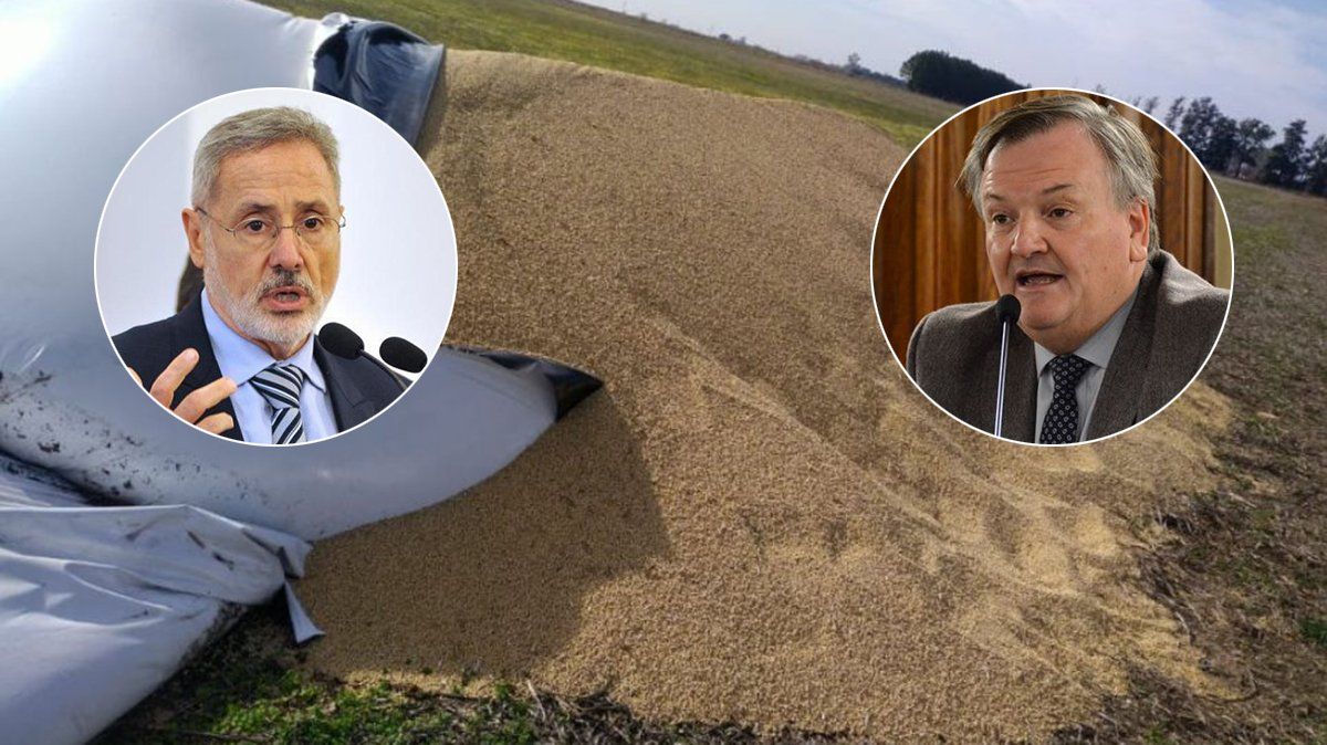 Senadores de la UCR le pidieron al ministro de Seguridad