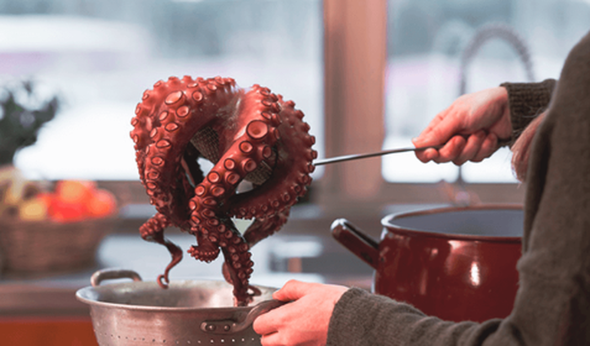 Los participantes de MasterChef tuvieron que cocinar pulpo y "asustarlo".