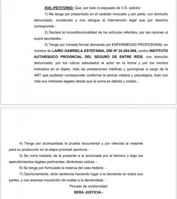 La demanda de Laiño que entró el viernes a la Justicia.