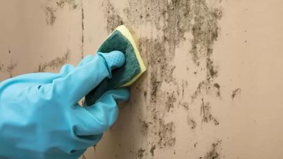 Cómo limpiar las manchas de humedad de la pared con un truco casero