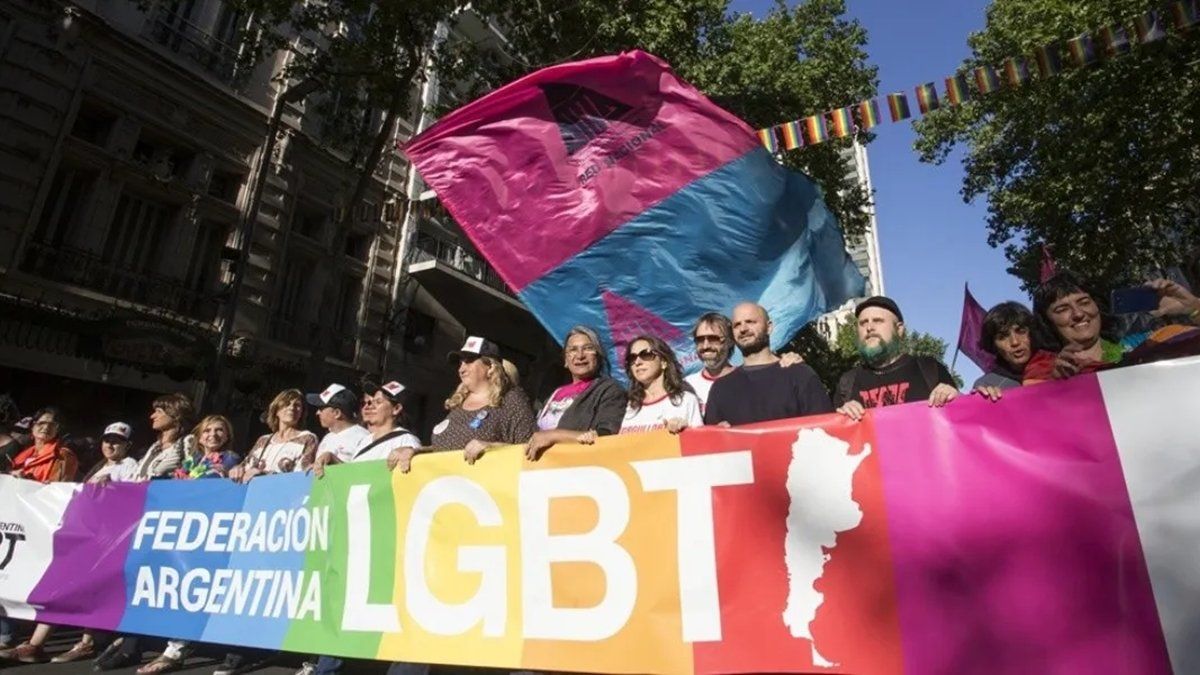 El proyecto lo lleva adelante la Federación Argentina LGBT+