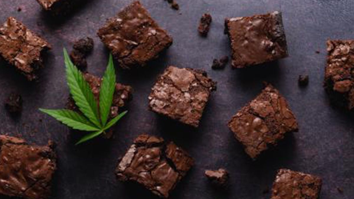 Una de las condiciones indispensables para autorizar la inclusión de los derivados de la planta de cannabis en el Código Alimentario Argentino es que no superen el 1% de THC.