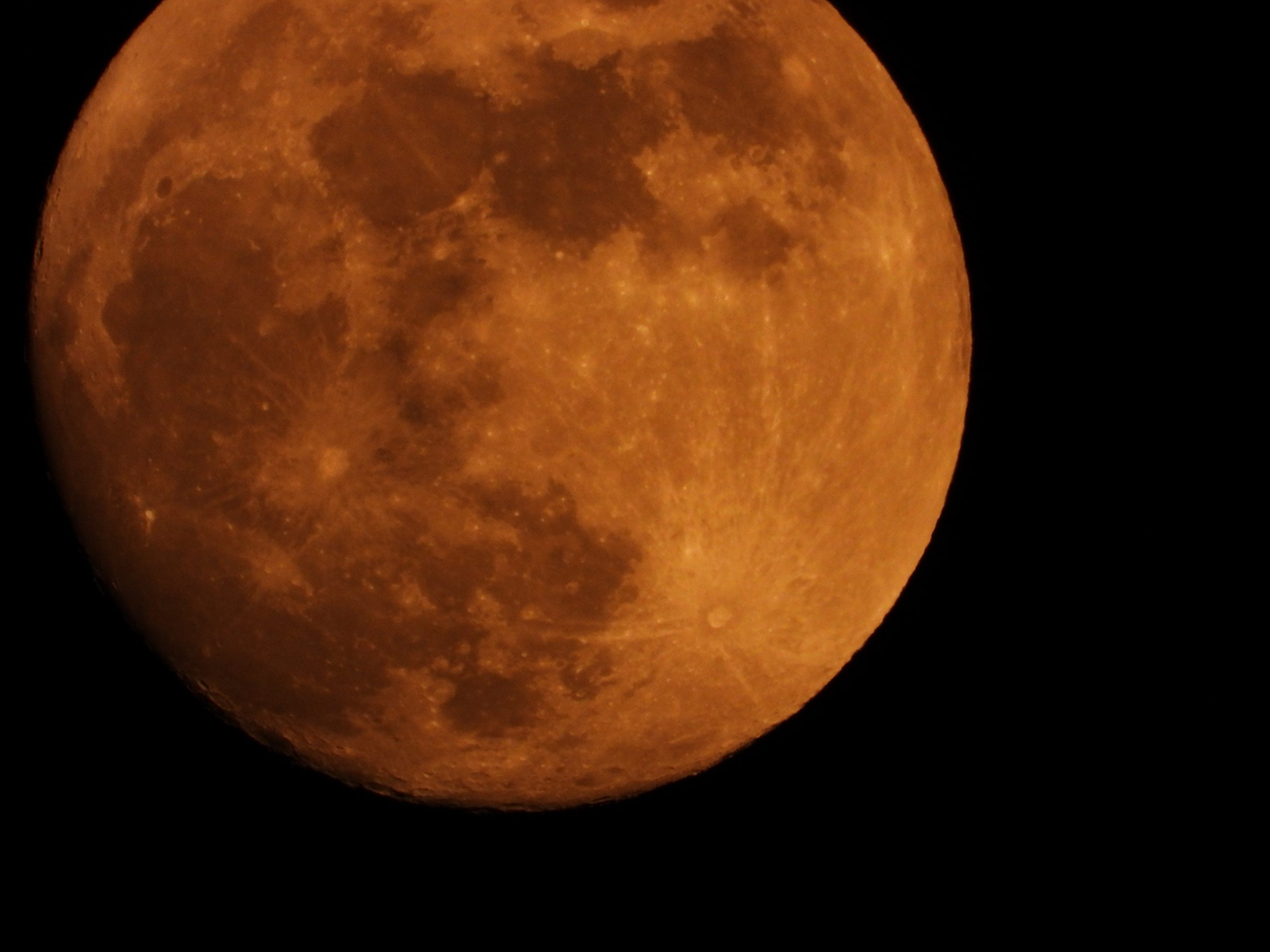 El 28 de octubre tendremos el último eclipse del eje Tauro/Escorpio. El 28 de octubre tendremos el último eclipse del eje Tauro/Escorpio.