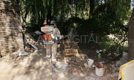 con epicentro en reconquista, el brote de dengue en santa fe ya suma 4.521 casos con epicentro en reconquista, el brote de dengue en santa fe ya suma 4.521 casos