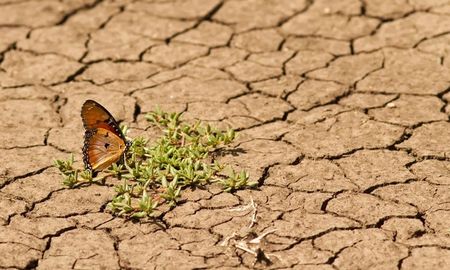 El dato surge de una campaña global coordinada por Global Footprint Network que busca concientizar sobre el exceso de consumo de las sociedades actuales. El dato surge de una campaña global coordinada por Global Footprint Network que busca concientizar sobre el exceso de consumo de las sociedades actuales.